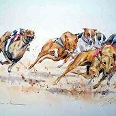 Greyhounds 1.